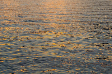 Gentle ripples spread across the water as the sun sets, casting warm golden shades that dance on the lake's surface in the evening light