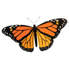 Naklejka premium Monarch butterfly monarch illustration insect vector