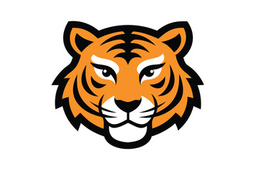 Fototapeta premium head of tiger