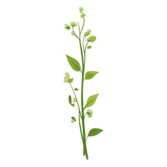 Flat vector of wild grass illustration plant green vector