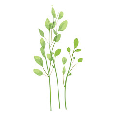 Fototapeta premium Flat vector of wild grass leaves leaf illustration vector