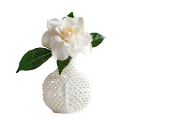 Elegant white flower sitting gracefully in a textured ceramic vase against a soft, neutral background, highlighting its delicate beauty