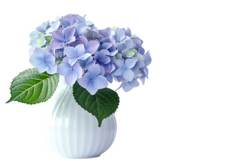 Elegant display of vibrant blue hydrangeas in a white vase against a minimalist backdrop, capturing nature's beauty indoors during spring © Umer