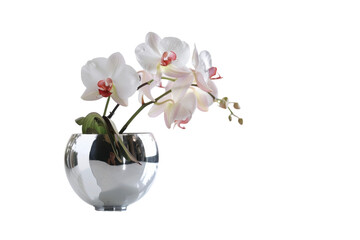 Elegant white orchids in a sleek glass vase accentuating modern decor in a sunlit space © Umer