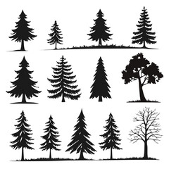 Fototapeta premium tree silhouette and Tropical leaves vector isolated on white background.
