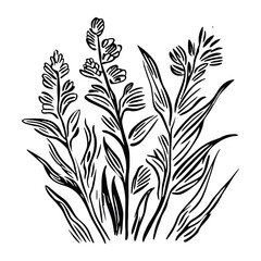 Wildflower drawing art white vector