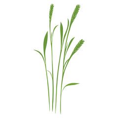 Fototapeta premium Flat vector of green grass illustration herbal plant vector