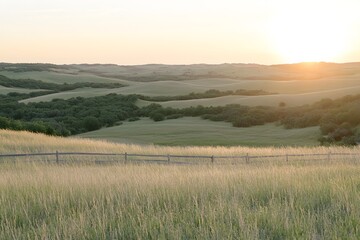 Fototapeta premium Golden Hour Prairie Sunset Landscape