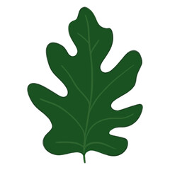 Obraz premium Tropical leaves leaf illustration simple vector