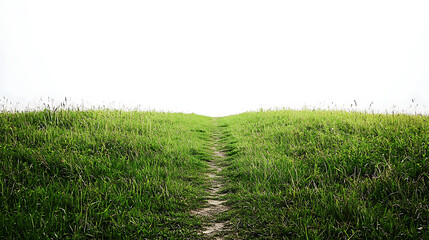 Fototapeta premium Serene Nature Landscape with Stones, Green Grass, and Plants