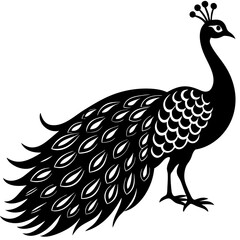 peacock black silhouette vector, Simple silhouette Design vector icon with white background.