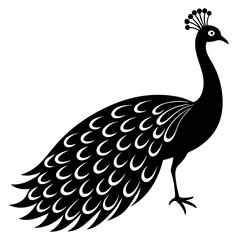 Fototapeta premium peacock black silhouette vector, Simple silhouette Design vector icon with white background.