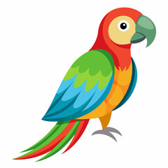 parrot on white background