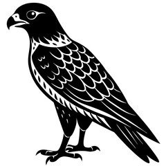 wild hawk bird black silhouette vector, Simple silhouette Design vector icon with white background.