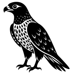 wild hawk bird black silhouette vector, Simple silhouette Design vector icon with white background.