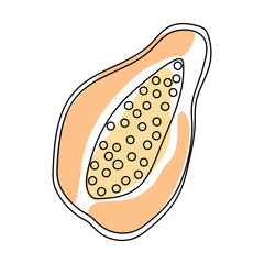 Fresh papaya slice showing bright orange flesh and seeds for healthy snack options