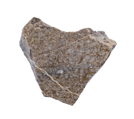 Limestone rock with fossils .Stone specimen. Sedimentary rock