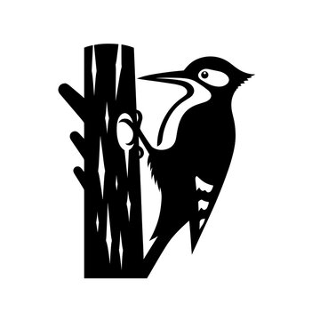 black woodpecker pecking tree trunk clip art preview