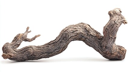 Rustic Dry Tree Branch with Jagged Edges