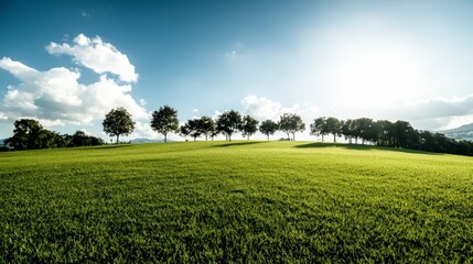 Serene Green Hillside  Lush Grass  Trees  Real Estate Potential