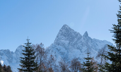 Snow-capped peaks with majestic blue slopes rise above rugged slopes of North Caucasus mountain range. Picturesque pine and spruce forests grow at foot of mountains with eternal glaciers. Dombai.