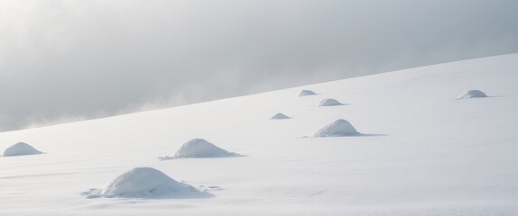 Obraz premium A white snow covered hill with a few small snow piles