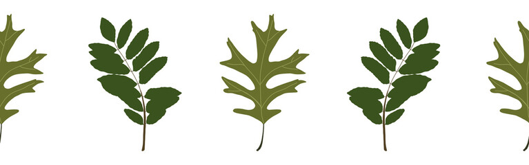  Leaves border on a white background. Hand-drawn illustration. Perfect for spring and summer.