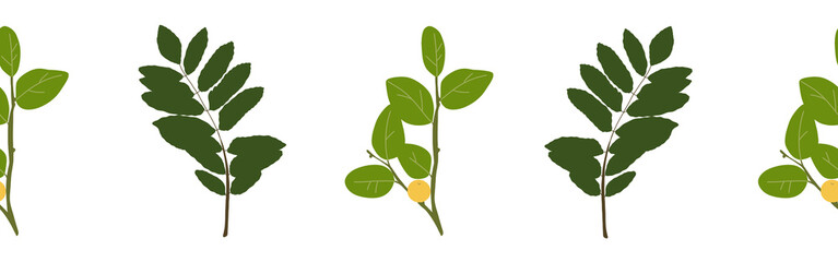  Leaves border on a white background. Hand-drawn illustration. Perfect for spring and summer.