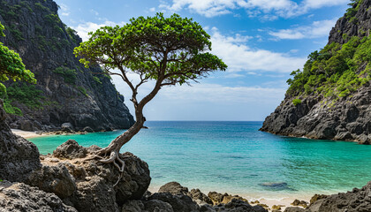 Stunning coastal scene with solitary tree on rocky terrain against turquoise water and greenery covered cliffs under a partly cloudy sky