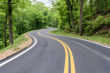 Winding Road Through Lush Green Forest