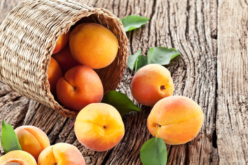 Ripe apricots in wicker basket on old wooden table.