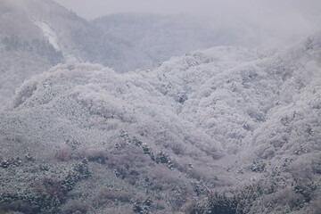 柔らかい雪の表面が美しい雪山 冬の自然景観
