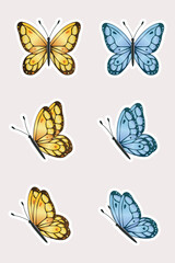 Yellow and blue butterfly stickers on background for design,printing,vector illustration.