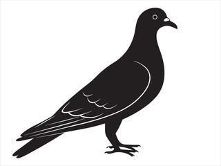 
Rock Pigeon silhouette vector illustration, Rock Pigeon silhouette vector on white background, Rock Pigeon Eps