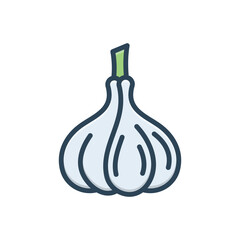 Color illustration icon for garlic