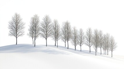 Snow-Covered Path Through Frosted Trees