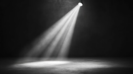 A dark space illuminated by a spotlight, creating a dramatic and focused atmosphere.