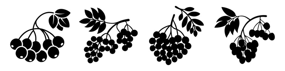 mountain ash berries icon, mountain ash berries silhouette vector illustration-simple silhouette illustration of mountain ash berries, perfect for mountain ash berries logos and icons
