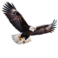 Fototapeta premium Majestic Flight of an Eagle: A powerful eagle soars gracefully, its wings fully spread, showcasing its impressive size and the intricate details of its feathers. A symbol of freedom and strength.