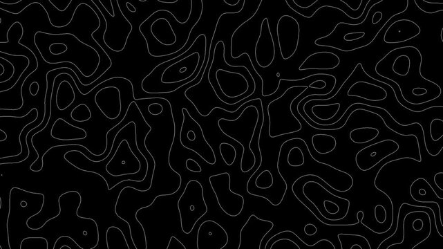 Gray outline topographic contour map abstract tech motion graphic design. Geometric background. Video animation Ultra HD 4K 3840x2160.Abstract animated outline topographic contour map. TECHNOLOGY