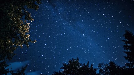 Naklejka premium A mesmerizing starry night sky fully illuminated with countless stars, creating a magical and serene atmosphere. This breathtaking scene captures the beauty of the cosmos, perfect for themes related t