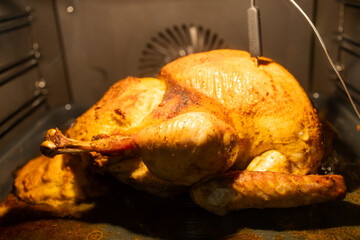 Golden Brown Roasted Turkey in Oven for Holiday Feast
