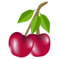 Red cherry Fruit Art BG Design 913.eps