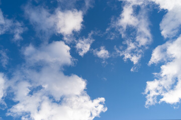 Fototapeta premium 見上げると綺麗な青い空 