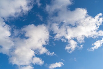 Fototapeta premium 見上げると綺麗な青い空 