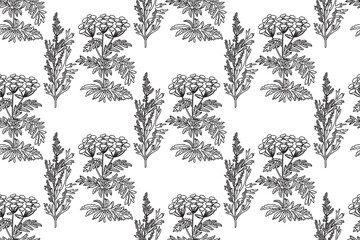 Fototapeta premium Line art botanical seamless plant pattern with flowers vector illustration. Black outline repeating floral pattern in white background. Graphic design for Fashion Cover Textile Coloring Page Birthday