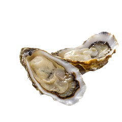 Naklejka premium Matcha Latte with Leaf Art and Velvety Foam. Perfect for: Gourmet seafood, fine dining, luxury platters