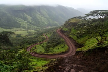 Winding Mountain Road  Lush Green Landscape  Foggy Valley
