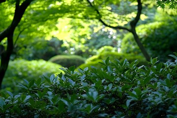 Fototapeta premium Lush Green Foliage Tranquil Garden Nature Background