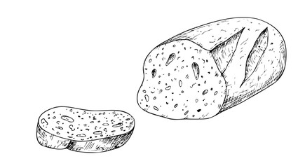 Vector slice of bread, bakery. Graphic ink loaf food, whole grain bread, ciabatta, brown homemade, baguette. Bun illustration isolated on background. Hand drawn line sketch. For designers, prints